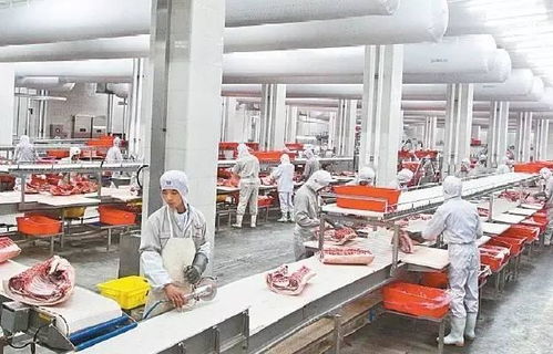 河南最特色的名片你知道几个 看到一半已经哭了
